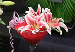 Malvern Autumn Show Malvern Autumn Show