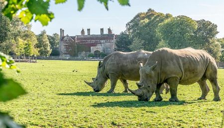 Marwell Zoo