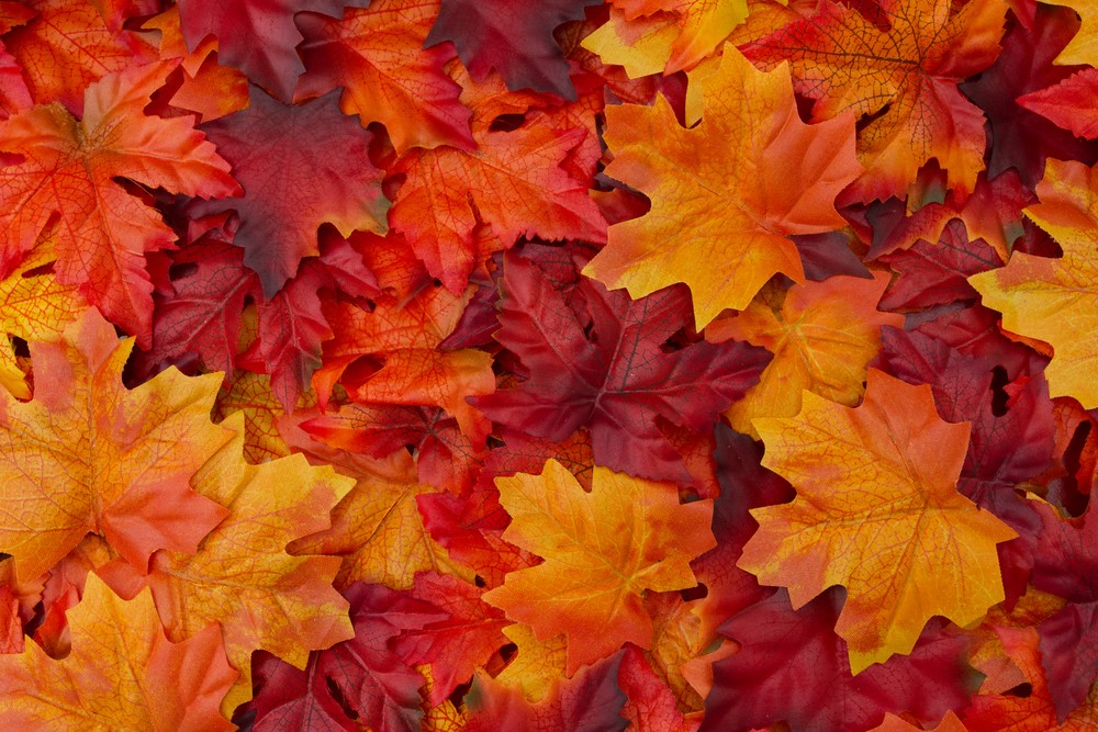 Autumn Colours in the Cotswplds