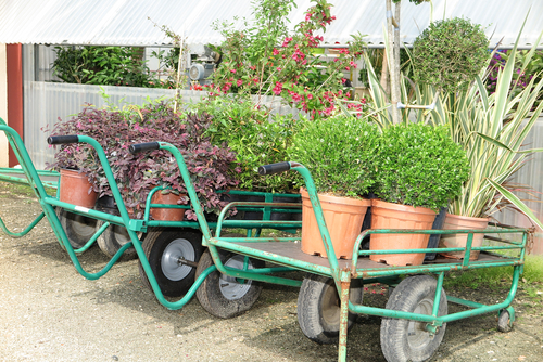 Bicester Avenue Garden Centre