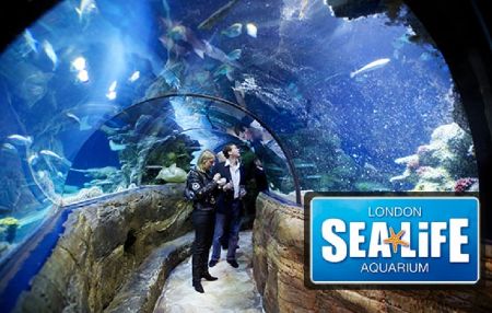 Sea Life London