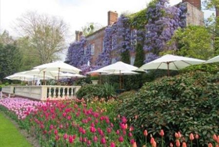 Pashley Manor Tulip Festival