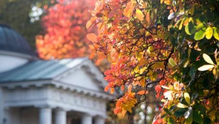 Autumn Colours at Kew Gardens