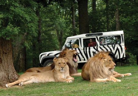 Longleat Safari Park 